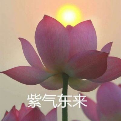 修仙神域手游(暂未上线)v1.0 安卓版